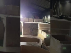 Swimming Suits Bikini Sexy Strength Abrasion Resistance High Elastic Backless  Miss Green